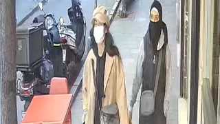 Şişli'de 5 evden 10 milyon liralık ziynet çaldılar