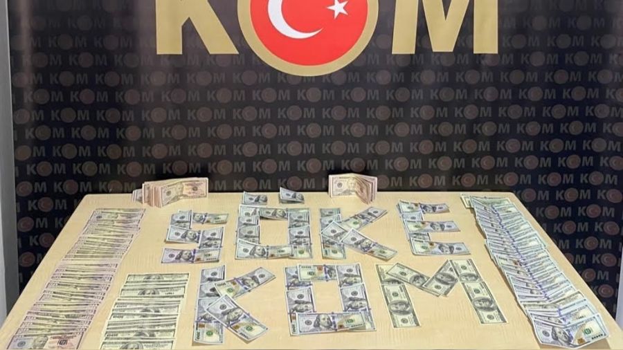 Söke'de sahte dolar operasyonu