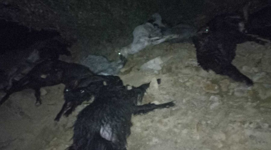 Süt sağım yerine yıldırım düştü