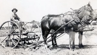 Tarım aletlerinin zaman yolculuğu
