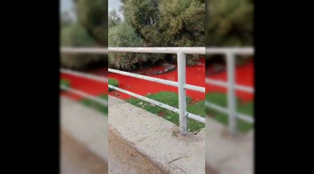 Tarım ilacı karışan derenin rengi kırmızıya döndü