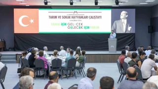 'Tarım ve Sokak Hayvanları Çalıştayı'