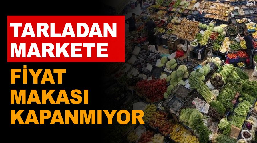 Tarladan markete fiyat makas kapanmyor