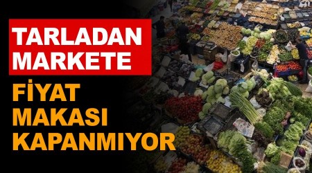 Tarladan markete fiyat makas kapanmyor