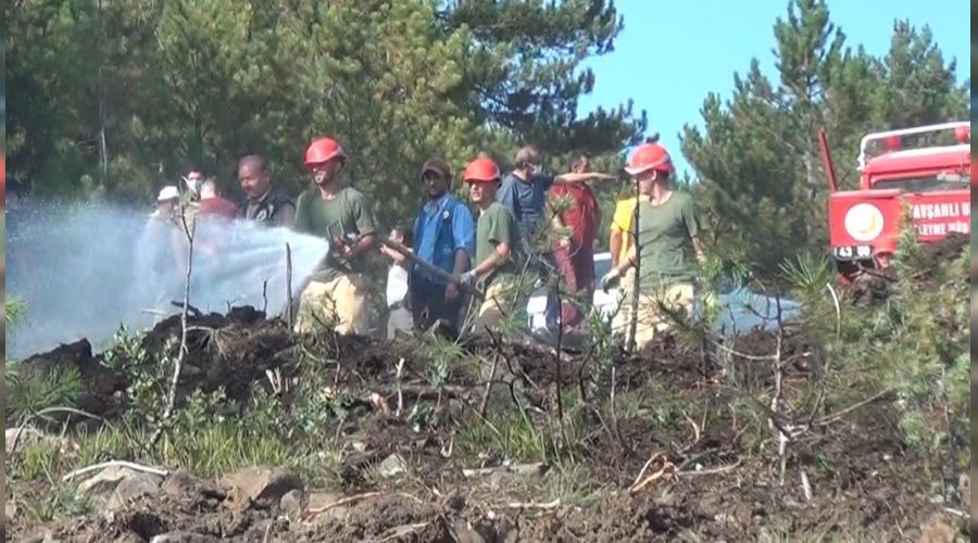 Tavşanlı'da yangın büyümeden söndürüldü
