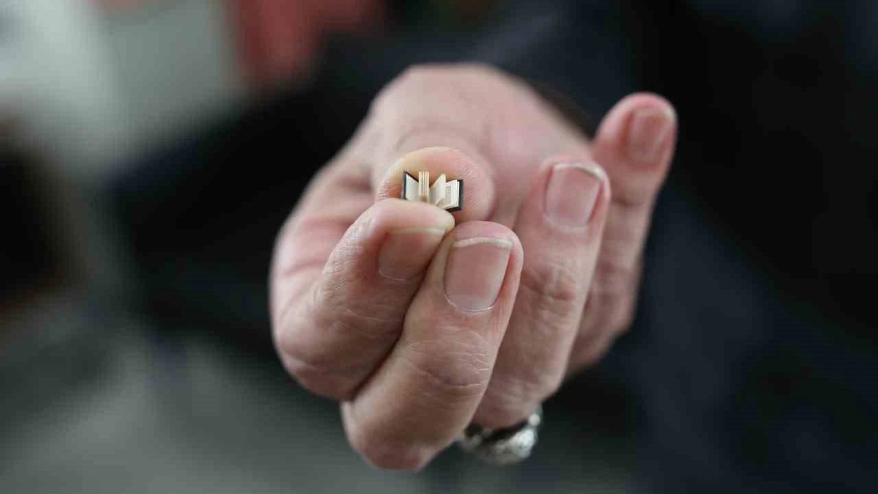 Tırnaktan bile küçük, görenleri hayrete düşürüyor