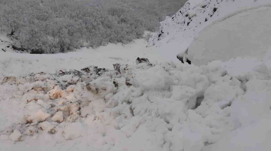 Tunceli'de yoğun kar yağışı nedeniyle zincirsiz tır geçişine izin verilmiyor