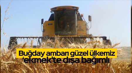 Türkiye 'ekmek'te dışa bağımlı