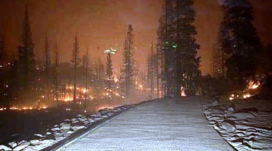 Yangınlar nedeniyle 5 bölgede acil durum ilanı