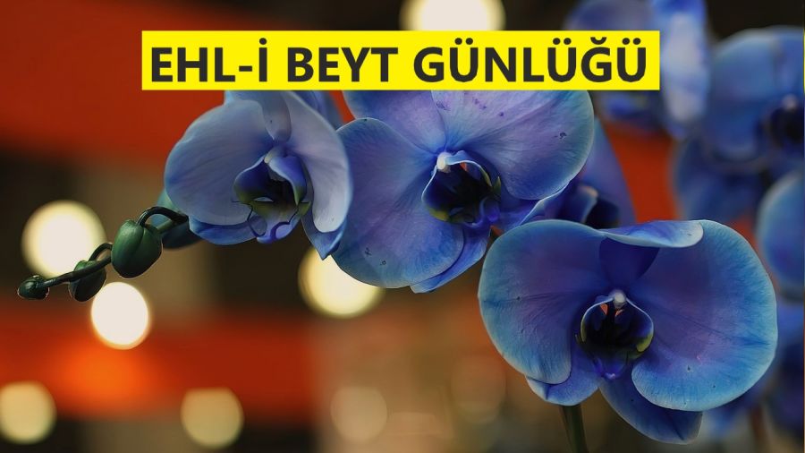 ‘Zeyd ve ashabı cennete gireceklerdir’