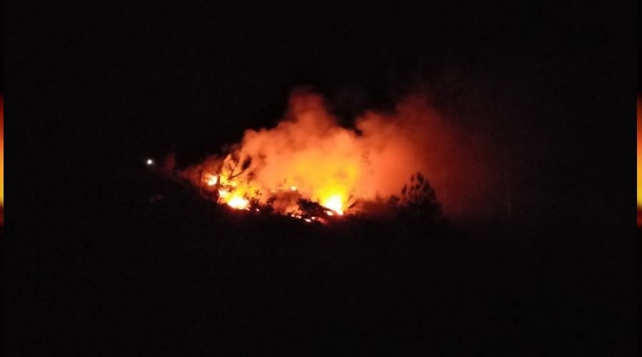 Adana'daki orman yangını söndürüldü