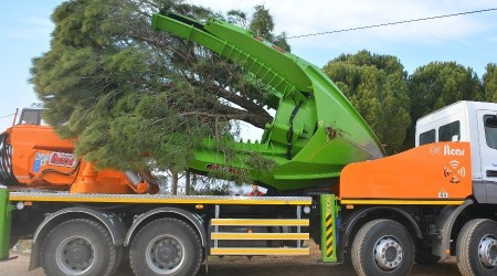 Ağaçlar bu makine ile kesilmekten kurtuluyor