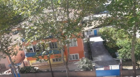 Ağaçlar susuzluktan kuruyor