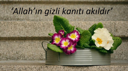 ‘Allah’ın gizli kanıtı akıldır’