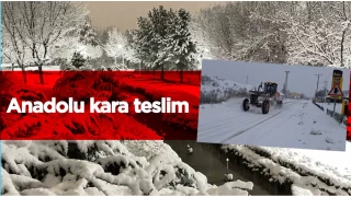 Anadolu kara teslim