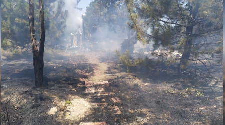 AOÇ'de çıkan yangında bir gözaltı