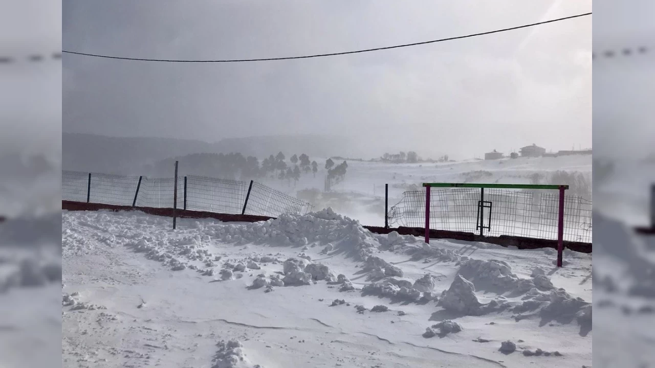 Ardahan'da souk hava etkili oldu