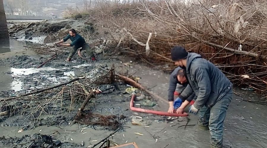 Yeni Mesaj Baliklari Kurtarmak Icin Seferber Oldular