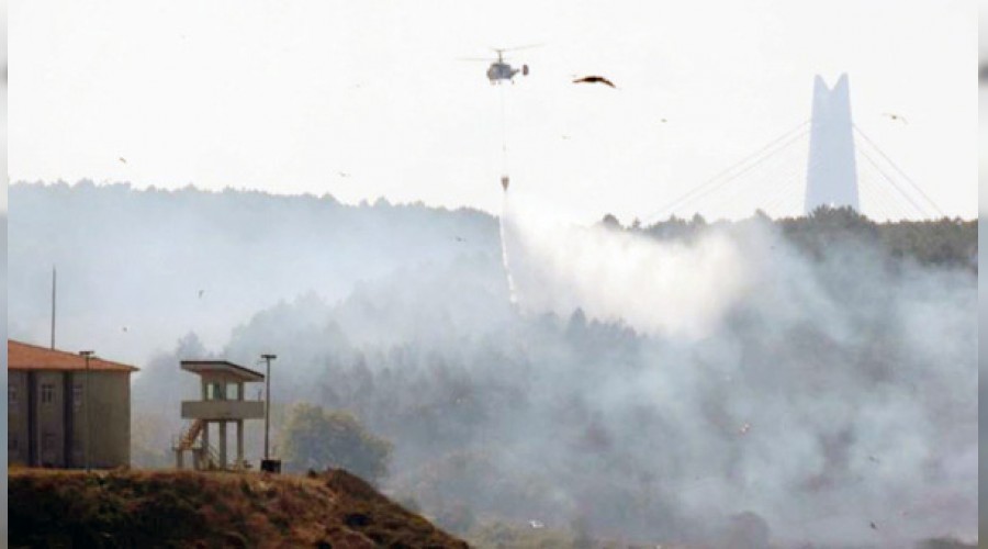 Beykoz'da çıkan orman yangını söndürüldü
