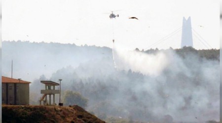 Beykoz'da çıkan orman yangını söndürüldü