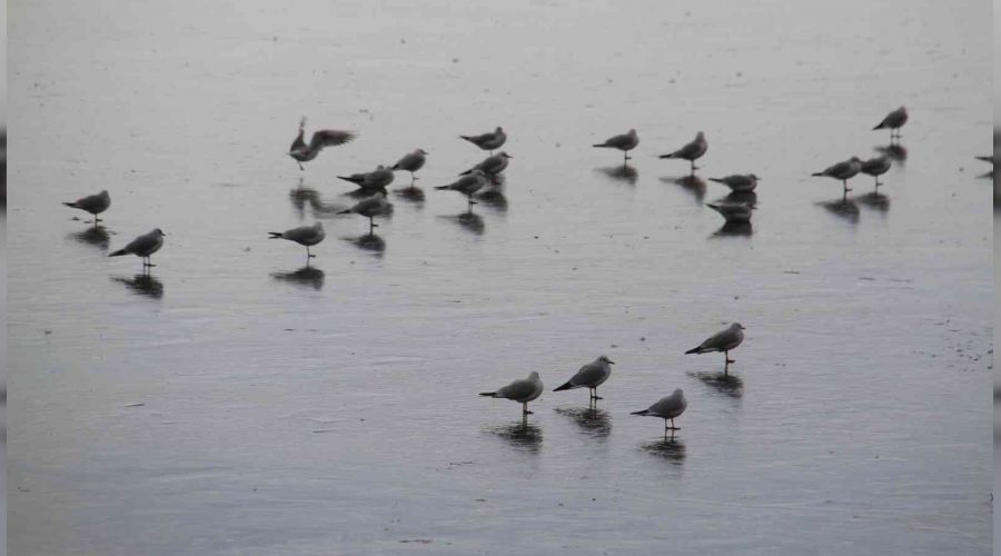 Beyşehir Gölü kıyıları buz tuttu