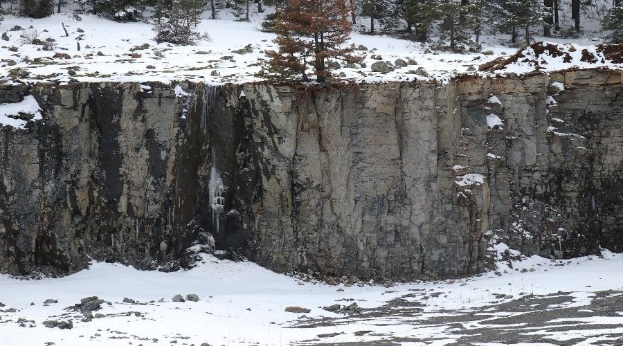 Bolu'da, milyonlarca yl ncesine ait lav gl kalntlar bulundu