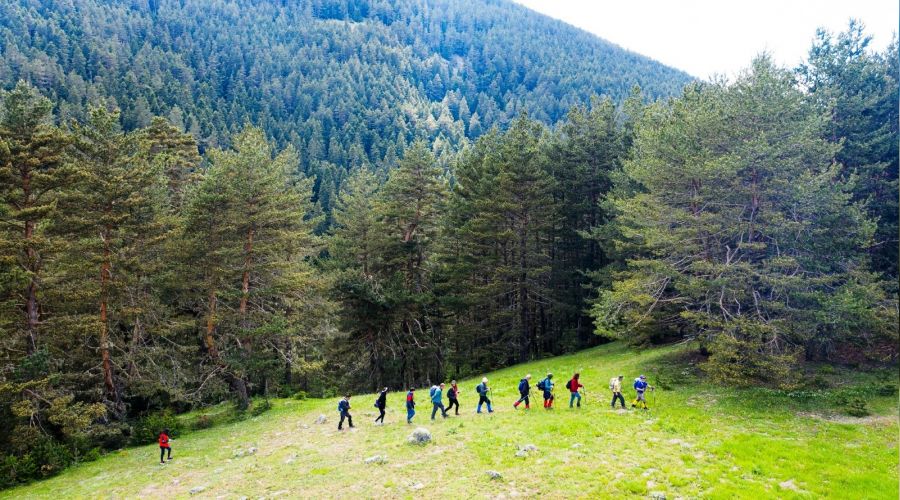 Bozkr'n yaylalar Karadeniz'i aratmyor