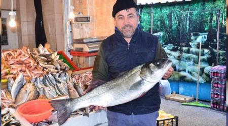 Bu levrek 700 liraya satıldı