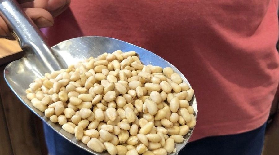 Çam fıstığı çeyrek altınla yarışıyor