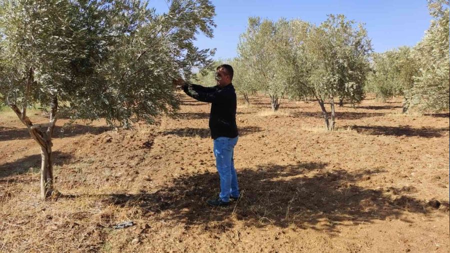 Çiftçiler kuraklığı baraj sularıyla aşmak istiyor