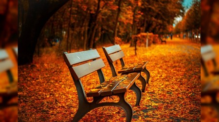 Çocuğunuzu sonbahar alerjisine karşı koruyabilirsiniz