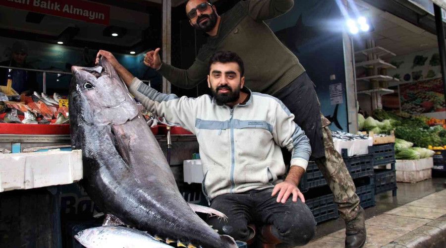 Dev orkinos görenleri hayretler içinde bıraktı