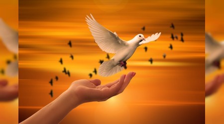 Dünyanın en güvenli 8. şehri Türkiye'de