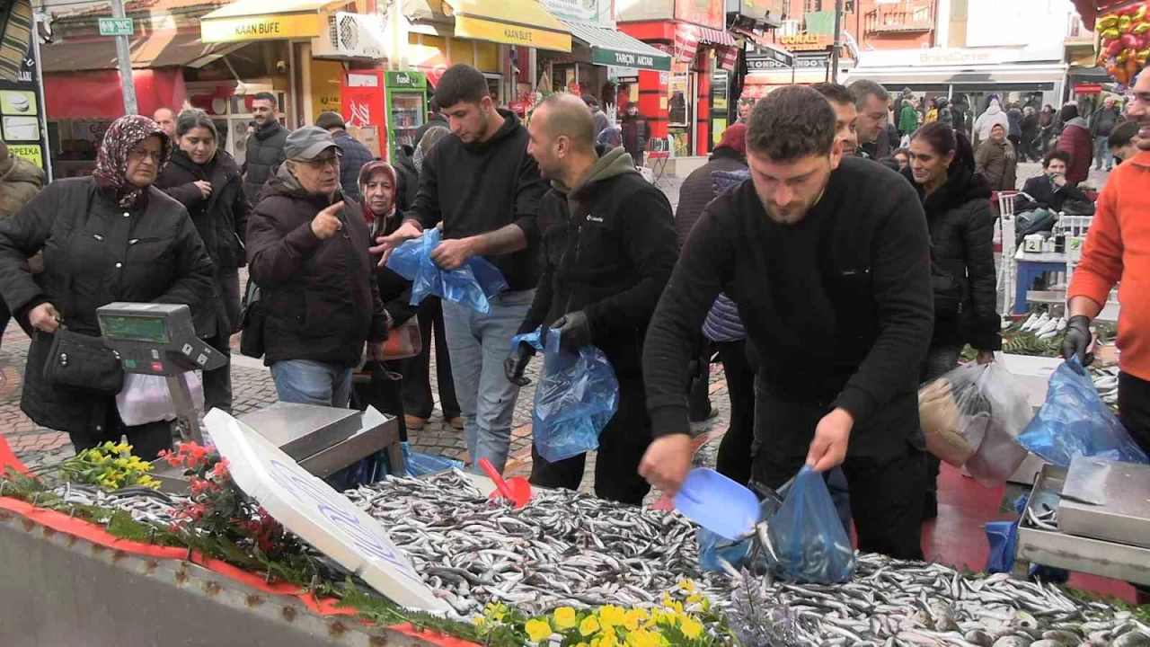 Edirne'de hamsi bolluu: Kilosu 100 liraya dt