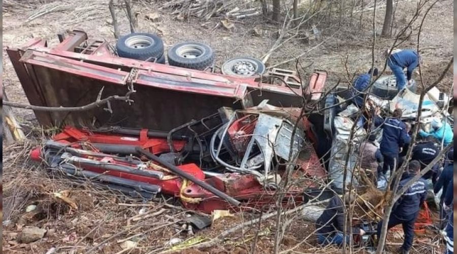 Freni boşalan vinç şarampole uçtu