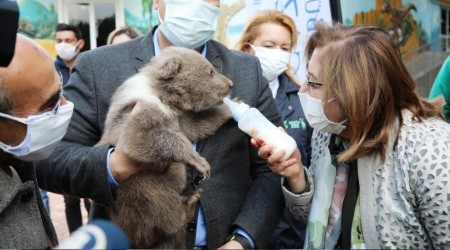 Gaziantep Hayvanat Bahçesinin yeni sakinleri tanıtıldı