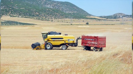 Gaziantep'te buğday hasadına başlandı