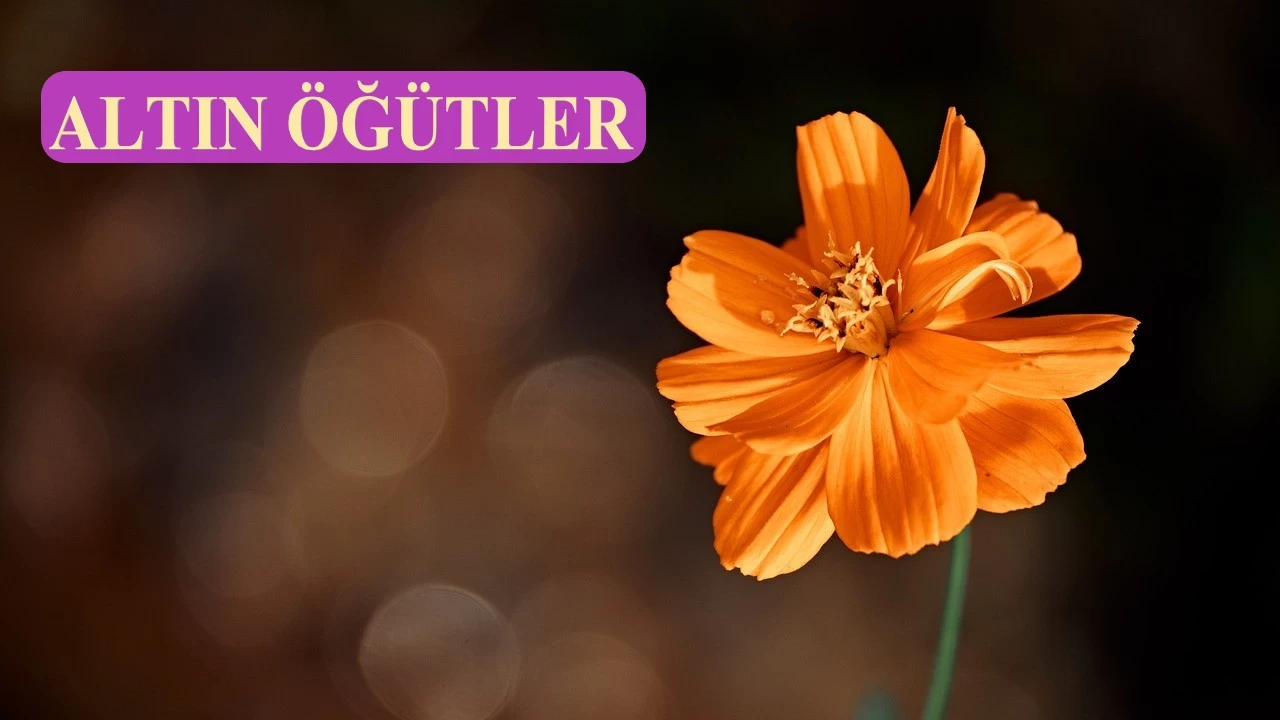 İhlas, sevilen kulların kalbindedir