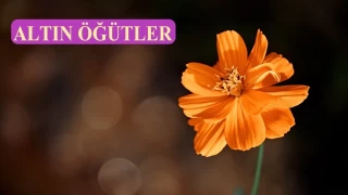 İhlas, sevilen kulların kalbindedir