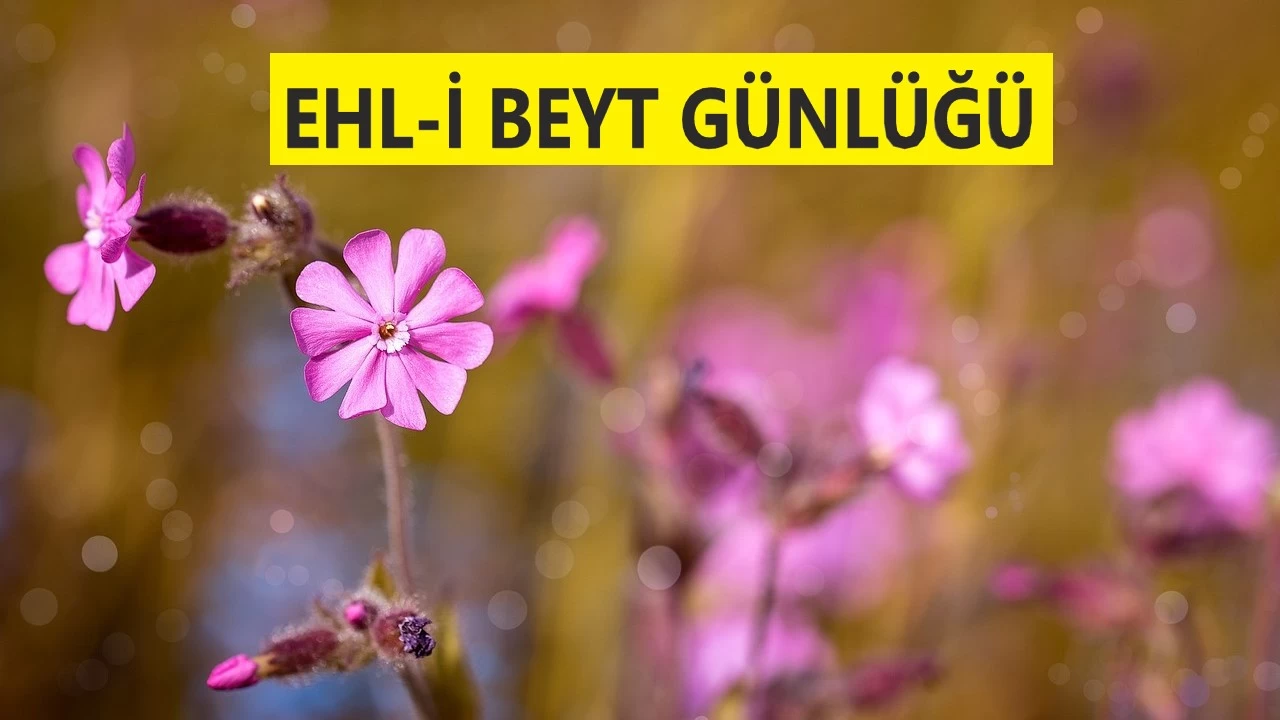 ‘İslam imandan önce gelir’