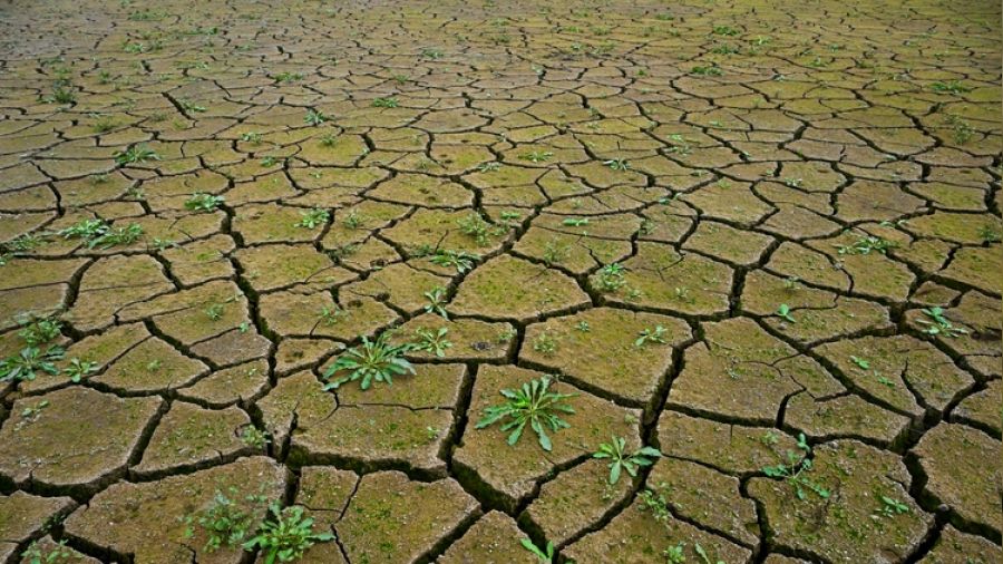 İstanbul'daki 3 baraj 'alarm' veriyor