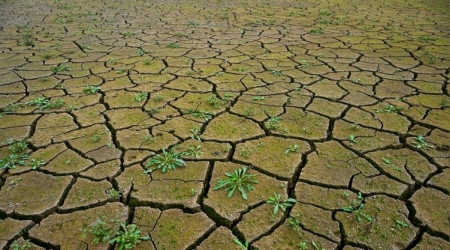 İstanbul'daki 3 baraj 'alarm' veriyor