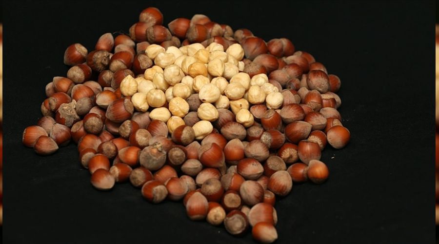 İtalya'ya fındık ihracatında rekor artış