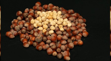 İtalya'ya fındık ihracatında rekor artış