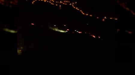 İzmir'de orman yangını: 500 kestane ve meşe ağacı yandı