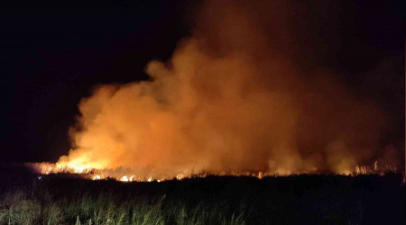 İznik Gölü'nde korkutan yangın