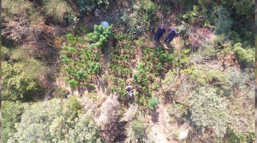 Jandarmadan drone ile zehir takibi 