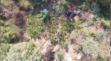 Jandarmadan drone ile zehir takibi 