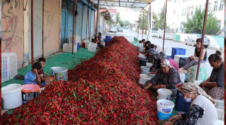 Kadınların 'en acı' mesaisi