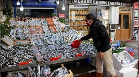 Karadeniz hamsisinden kt haber